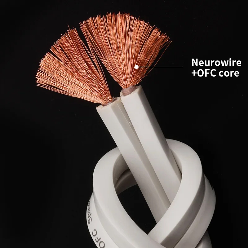 YYTCG DIY Loud Speaker Cable H - Home Cinema Heos review and price