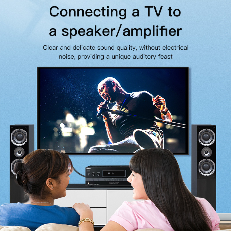 CHOSEAL RCA Cable Digital Coax - Home Cinema Heos review and price